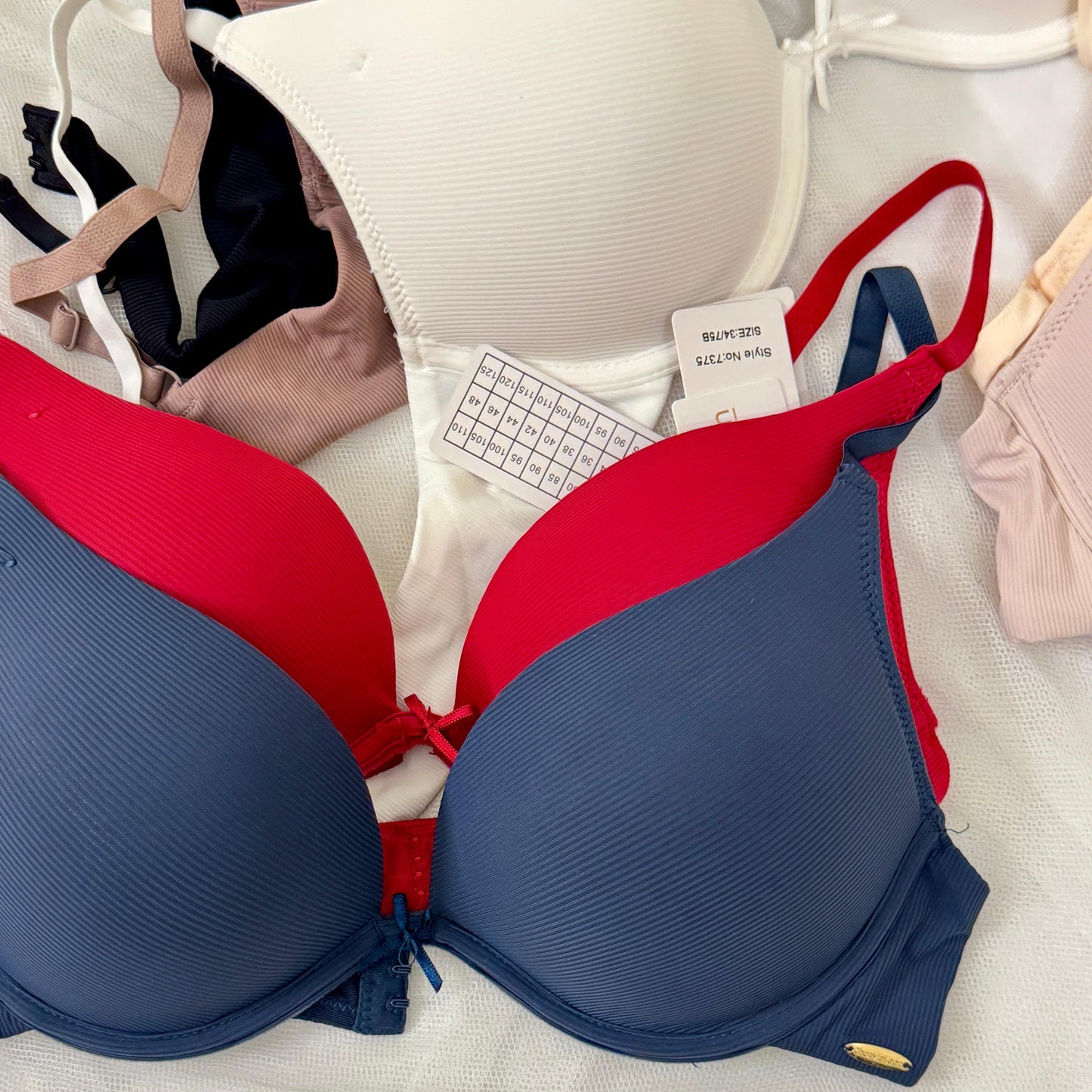Premium Daily Wear Bra