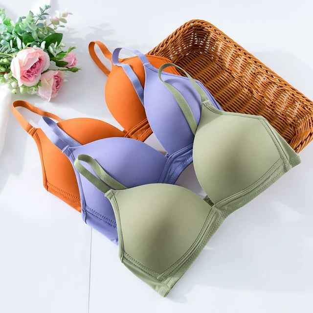 Daily Wear Thin Pad Seamless Bra