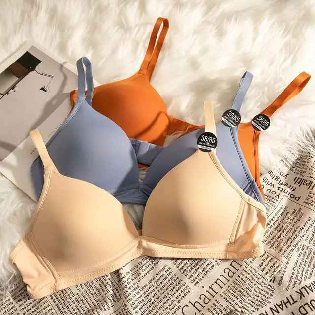 Daily Wear Thin Pad Seamless Bra