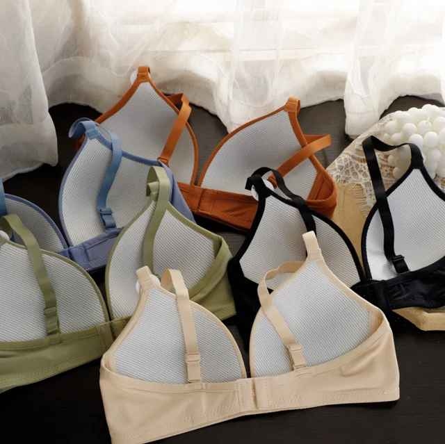 Daily Wear Thin Pad Seamless Bra