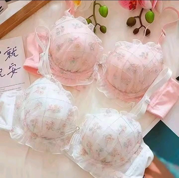 Embroidered Bra Set