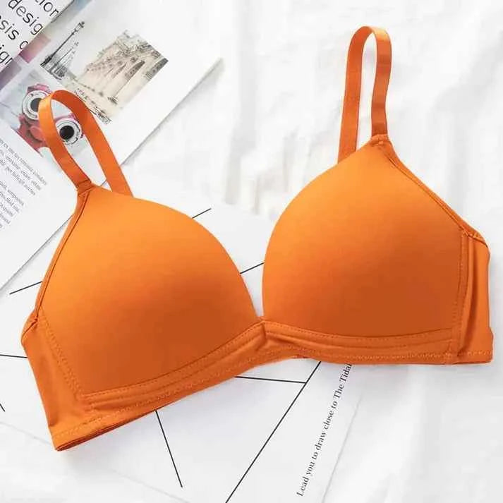 Daily Wear Thin Pad Seamless Bra
