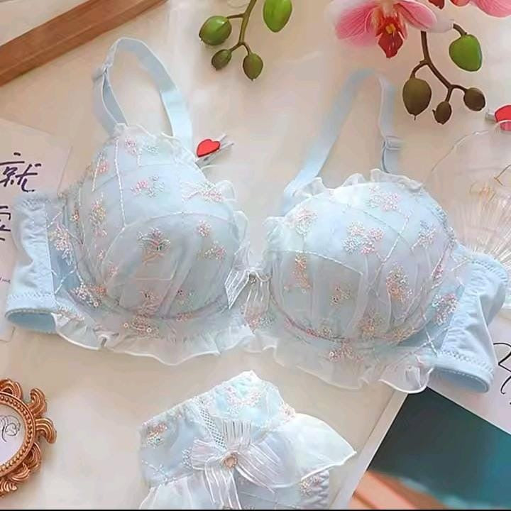 Embroidered Bra Set