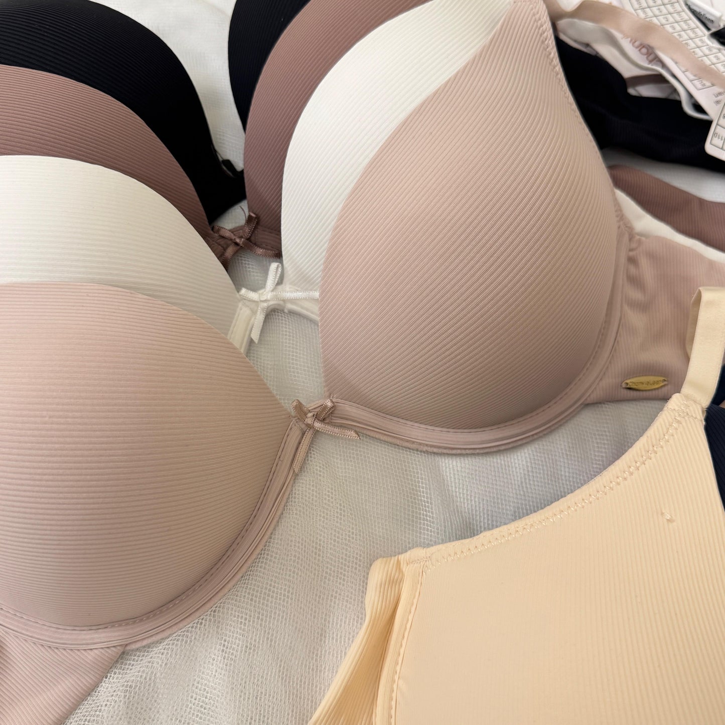 Premium Daily Wear Bra