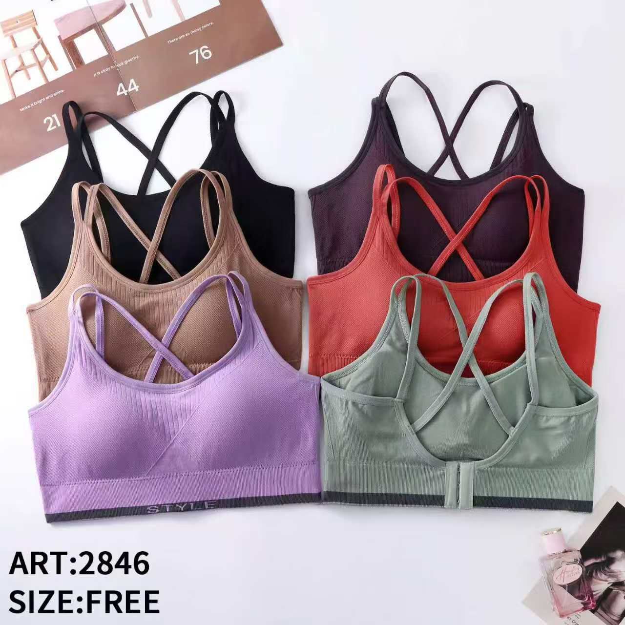 Back Hook Daily Wear + Sports Bra