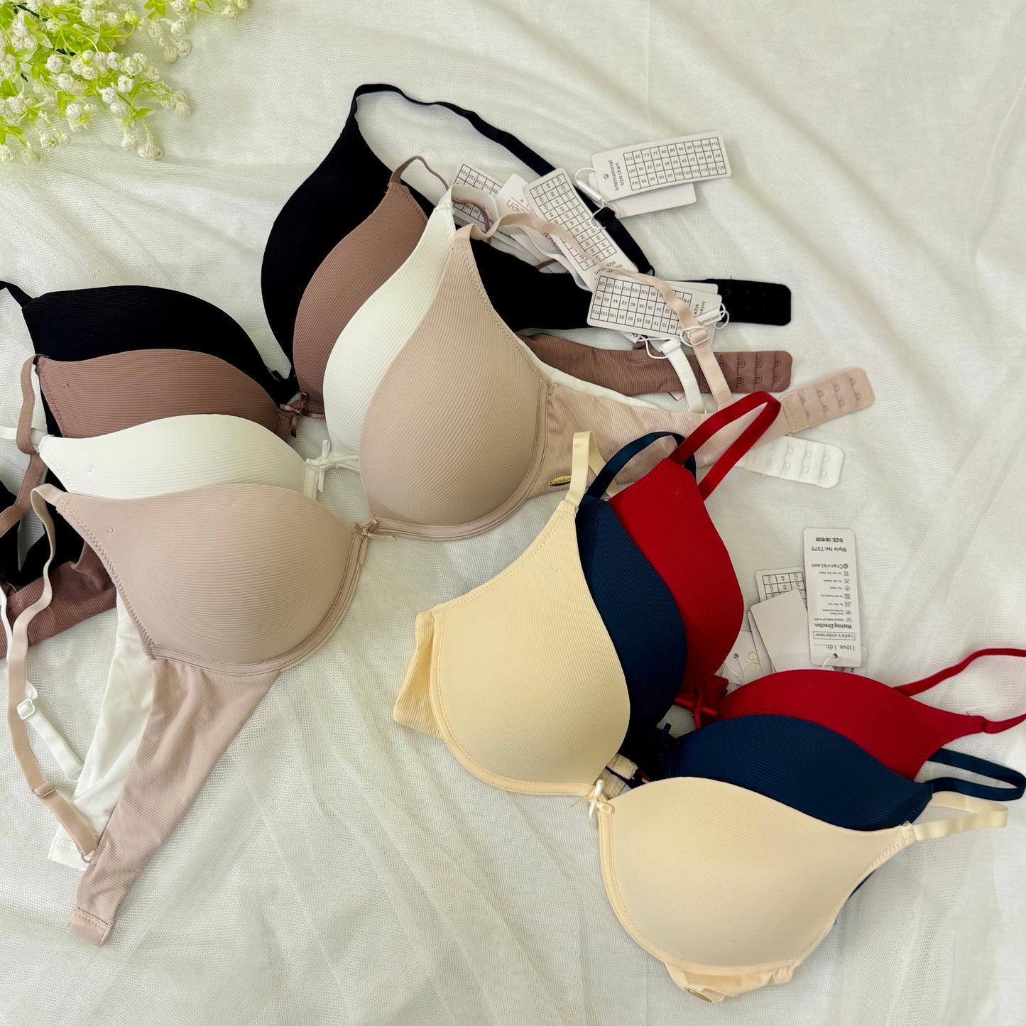 Premium Daily Wear Bra