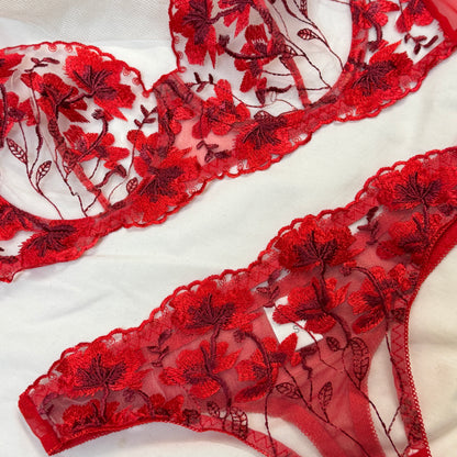 Blood Red Net Bra Set
