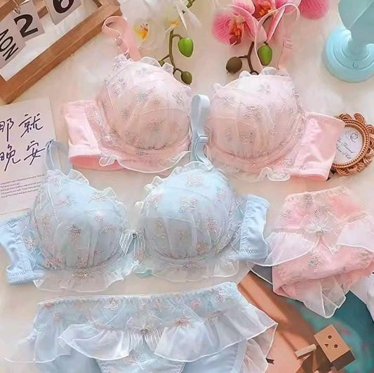 Embroidered Bra Set