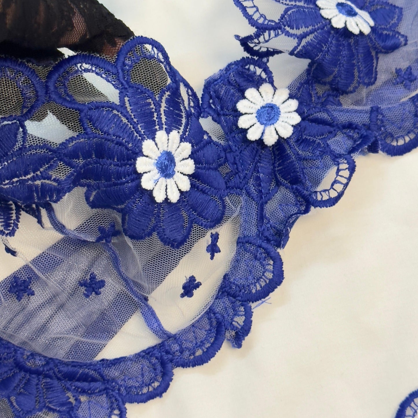 Summer Blue Net Bra Set