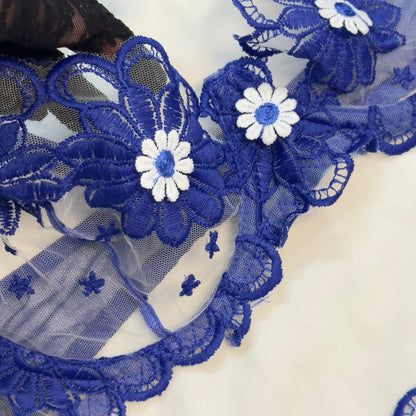 Summer Blue Net Bra Set