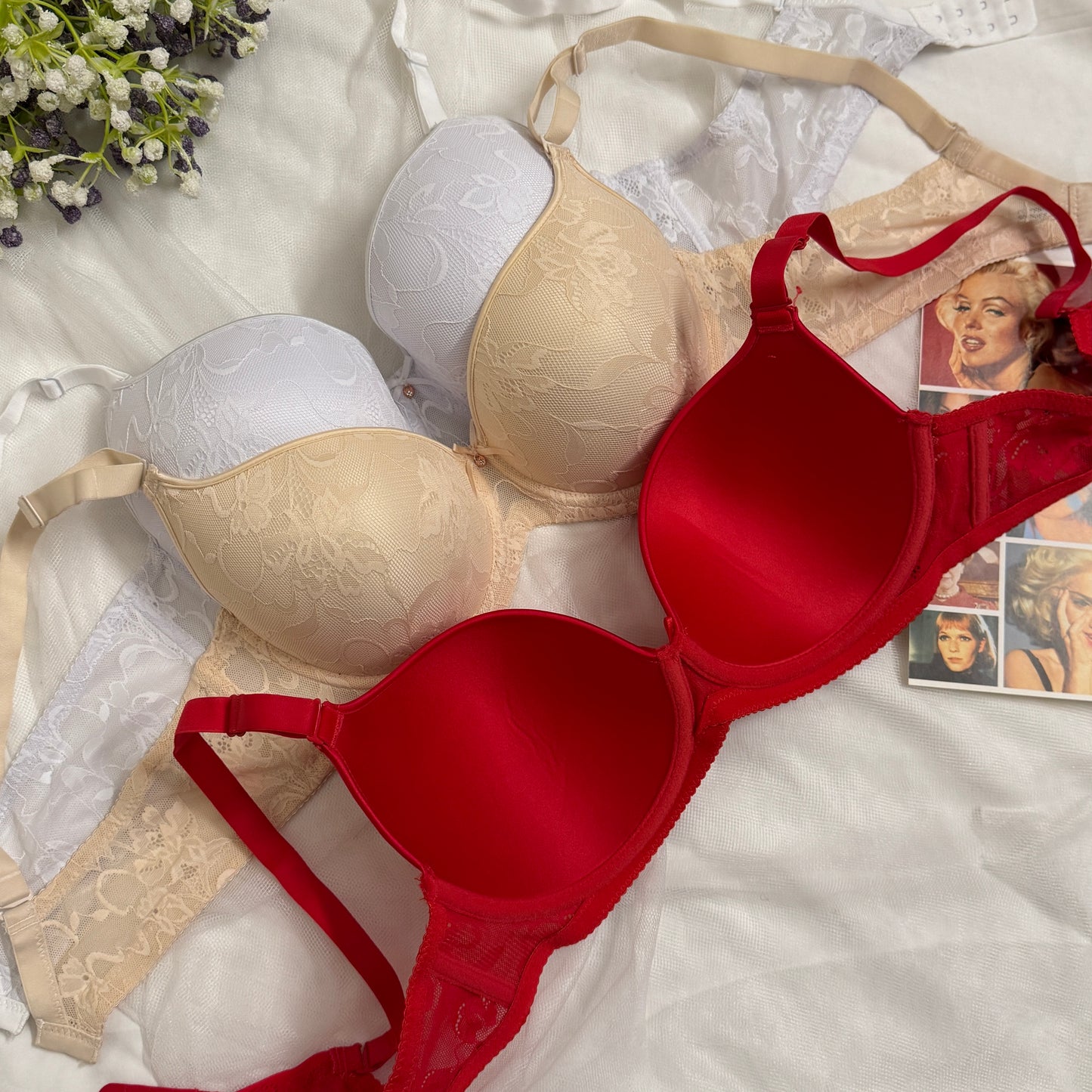 D cup Daily Wear Bra