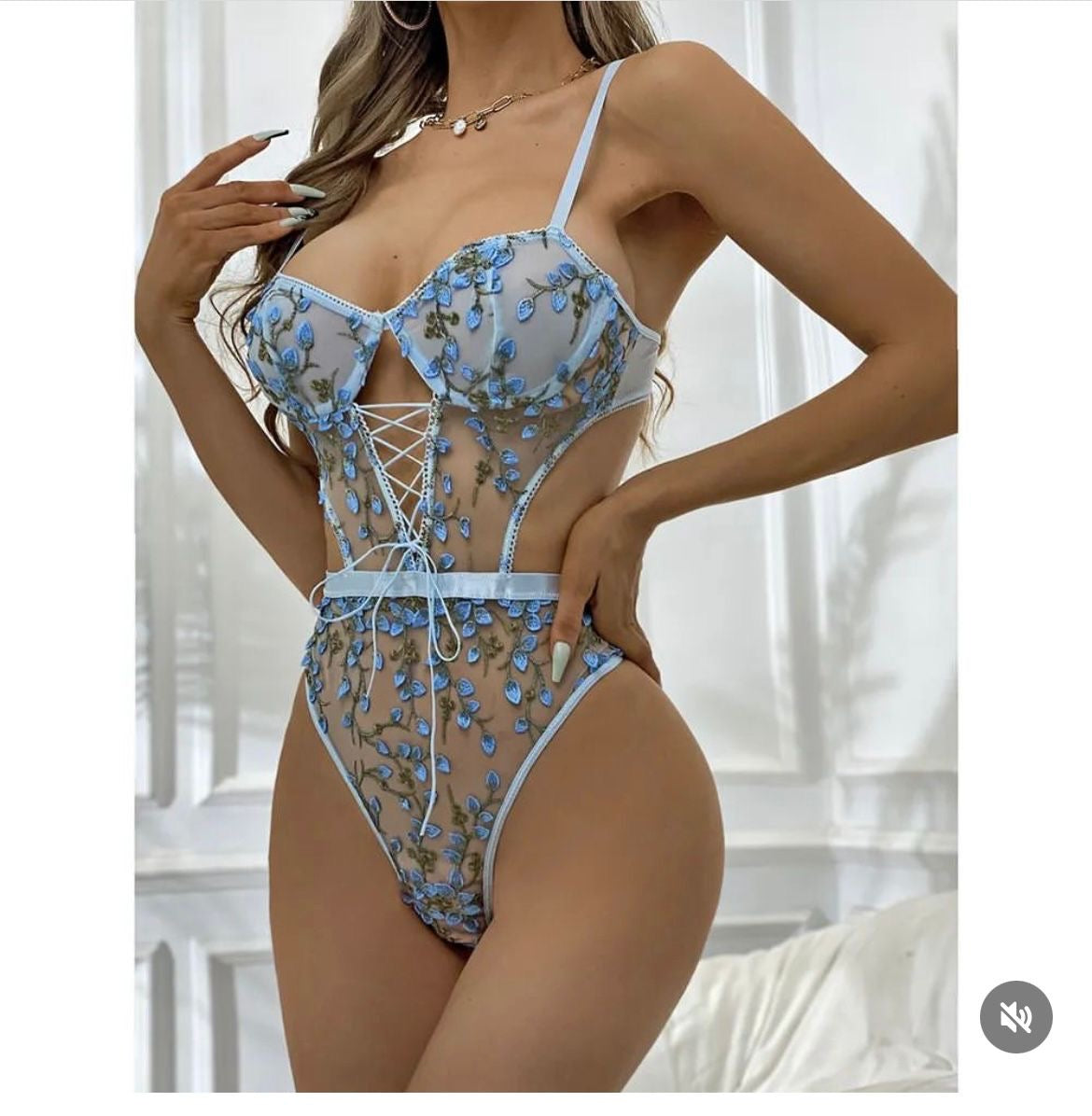 Embroidered Net Lingerie