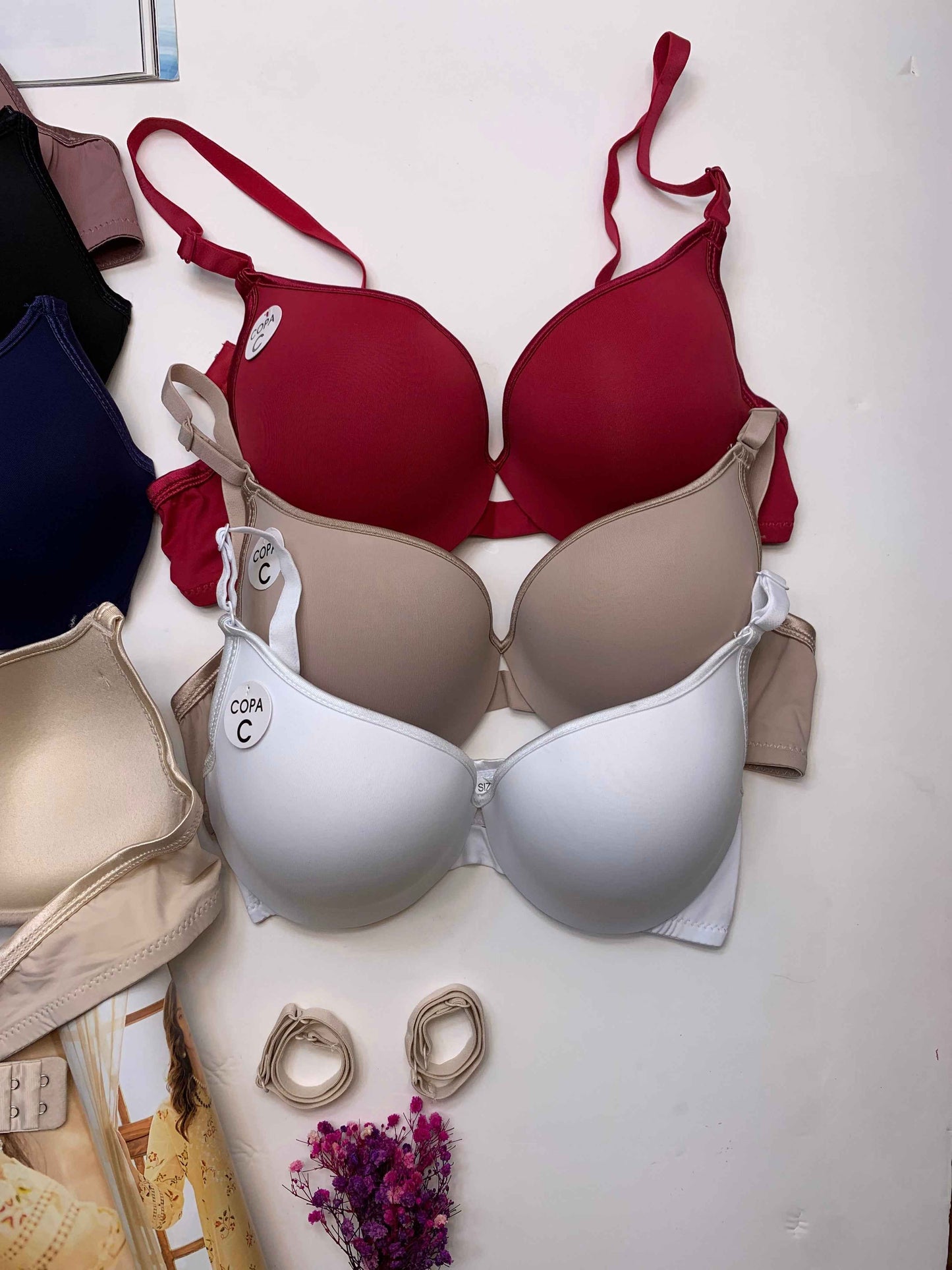 Daily Wear Single Padded Wired Bra