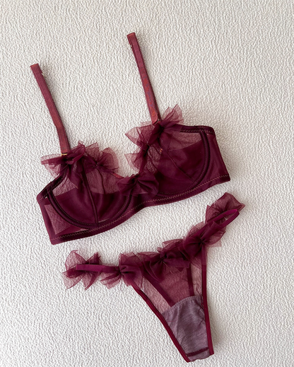 Premium Net Bra Set
