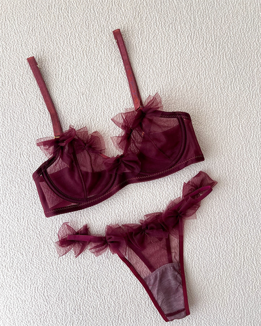 Premium Net Bra Set