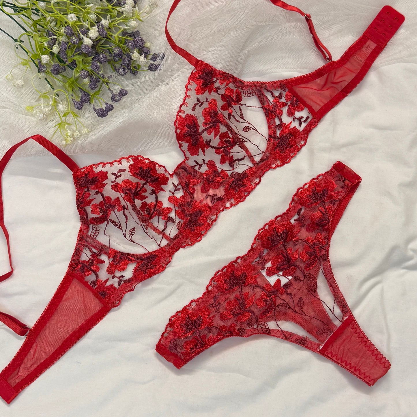 Blood Red Net Bra Set