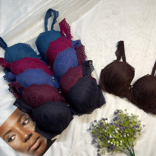 Plus Size Daily Wear Bra (D Cup)