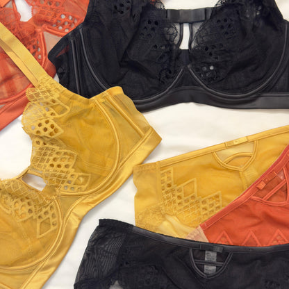 Net Bra Set New