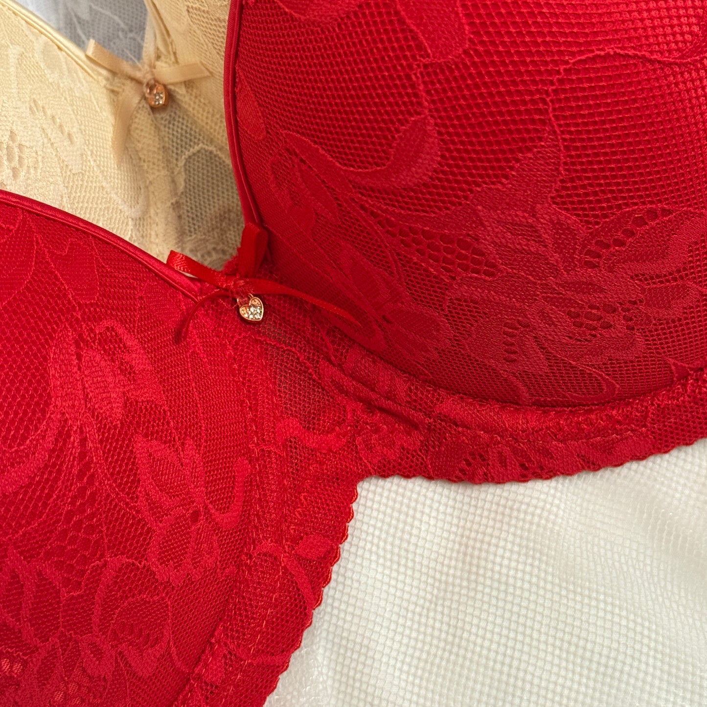 D cup Daily Wear Bra