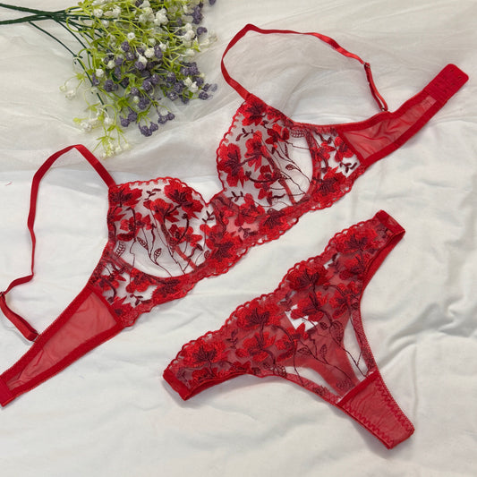 Blood Red Net Bra Set
