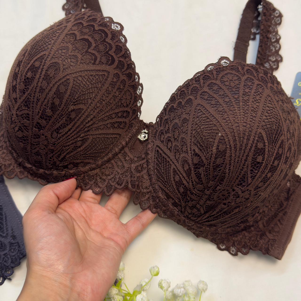 Plus Size Daily Wear Bra (D Cup)