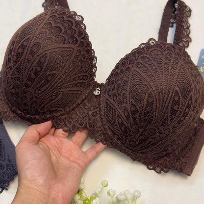 Plus Size Daily Wear Bra (D Cup)