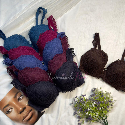 Plus Size Daily Wear Bra (D Cup)